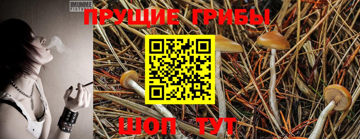 Псилоцибиновые грибы мицелий  Вход с VPN  Старый Оскол 